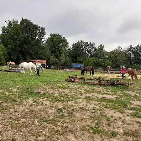 Urlaub Auf Dem Reiterhof Am See In Holiday home *